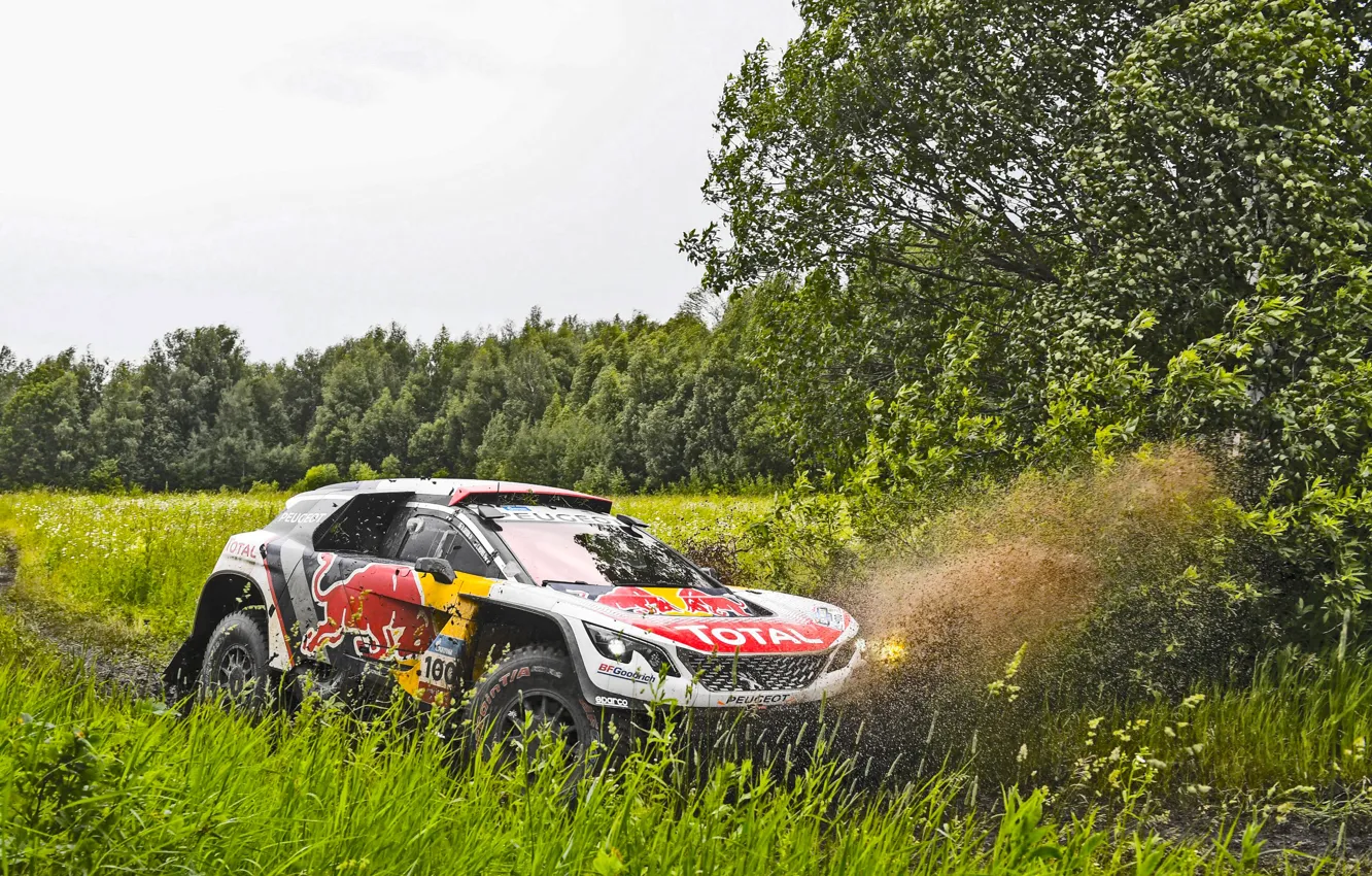 Photo wallpaper Water, Nature, Sport, Speed, Dirt, Peugeot, Russia, Rally