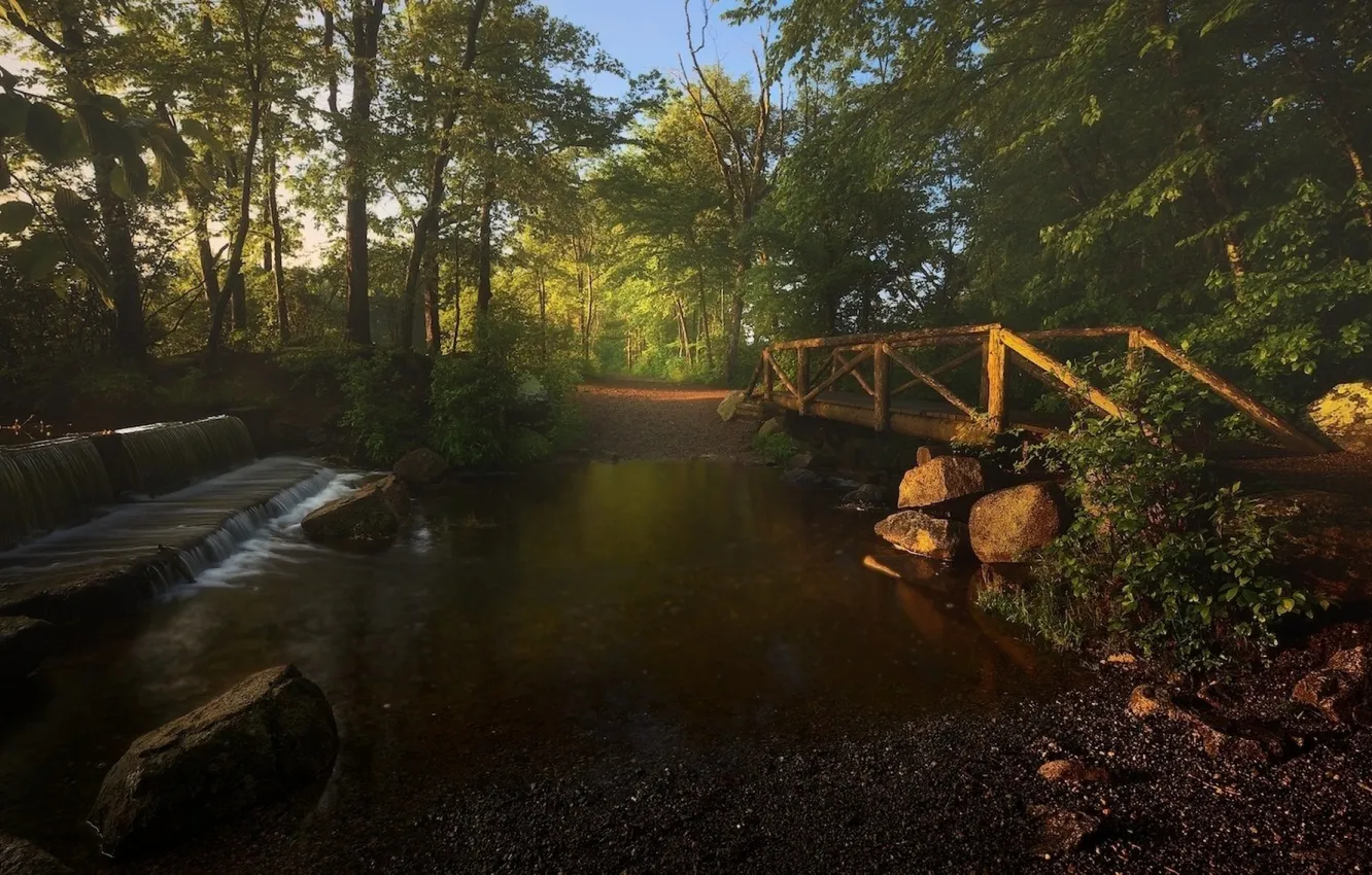 Photo wallpaper trees, bridge, nature, stream, photo, dawn, waterfall, morning