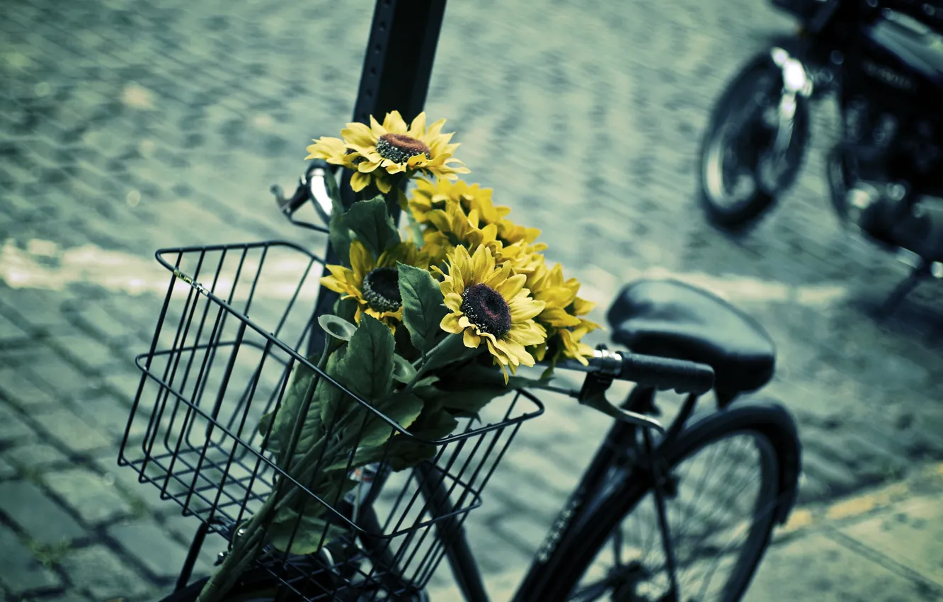 Photo wallpaper leaves, flowers, blue, yellow, bike, background, widescreen, Wallpaper