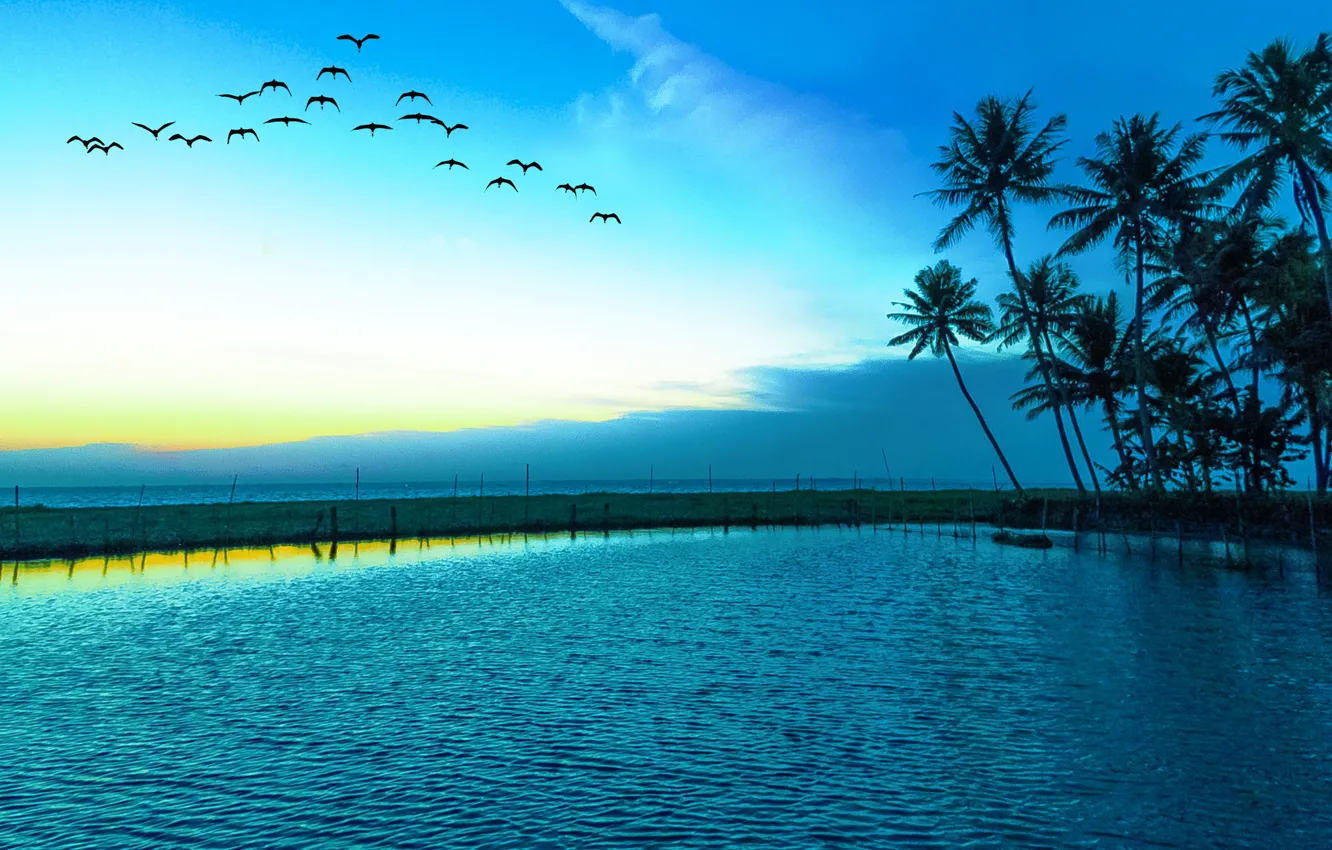 Photo wallpaper sea, landscape, seagulls, blue sky
