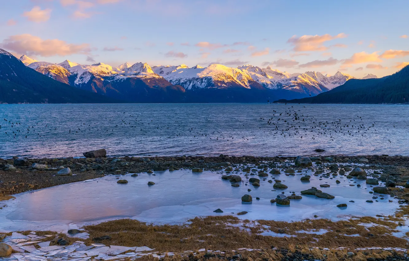 Photo wallpaper Nature, Mountains, Panorama, USA, Alaska, Coast
