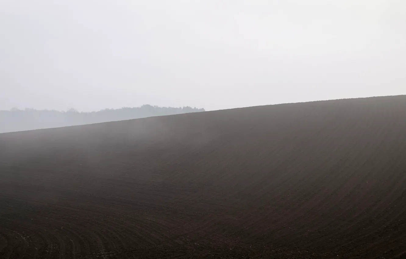 Photo wallpaper field, nature, fog
