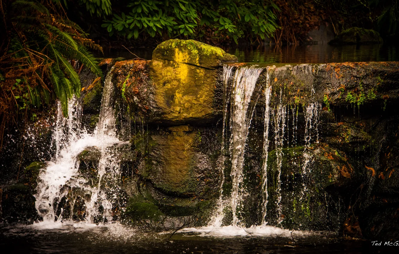 Photo wallpaper waterfall, Canada, Vancouver, Vancouver, Stanely Park