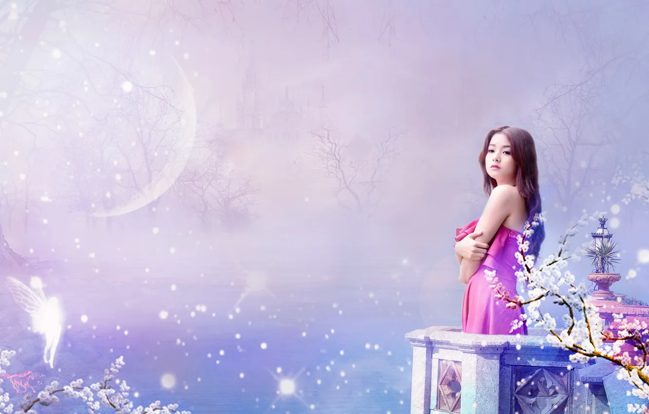 Photo wallpaper girl, background, Asian
