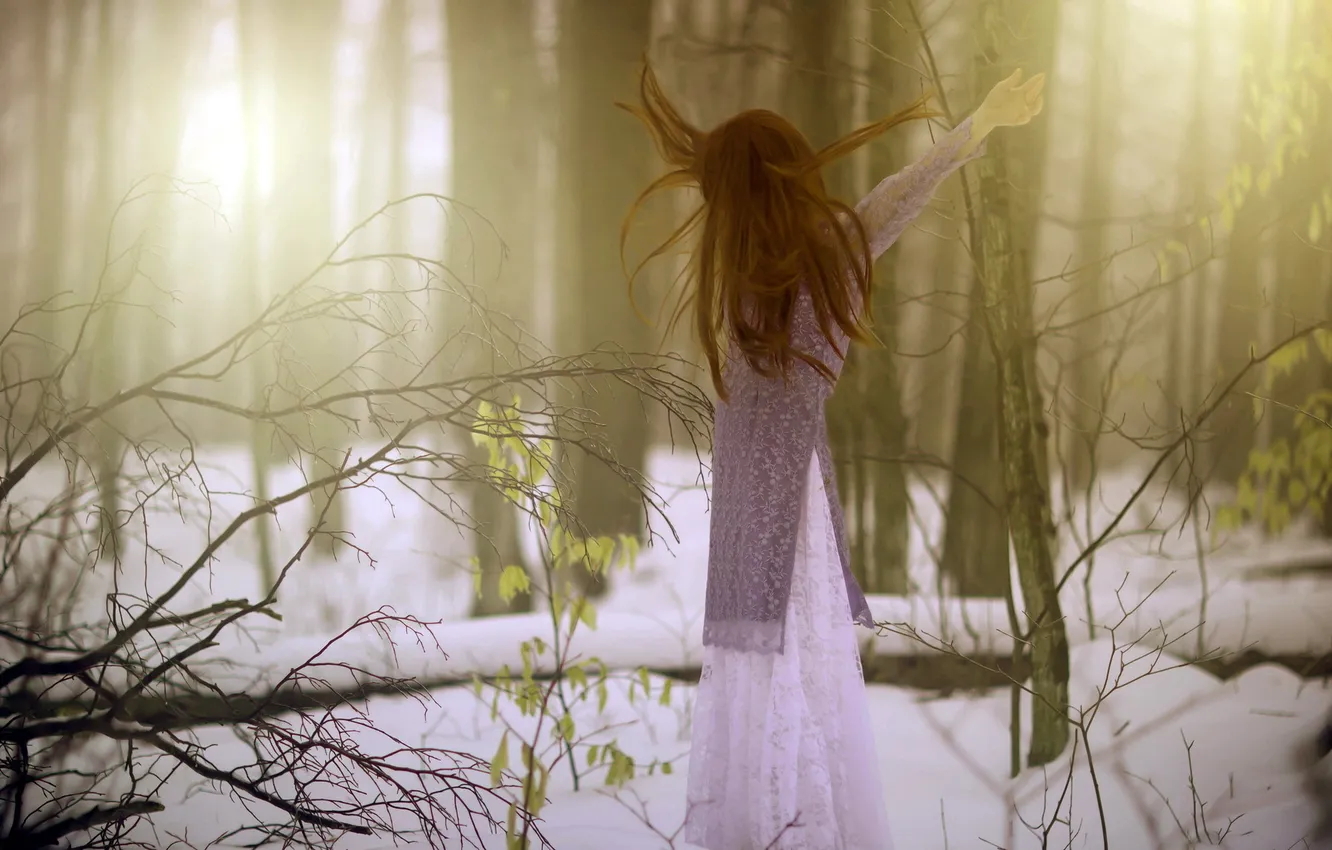 Photo wallpaper forest, girl, nature