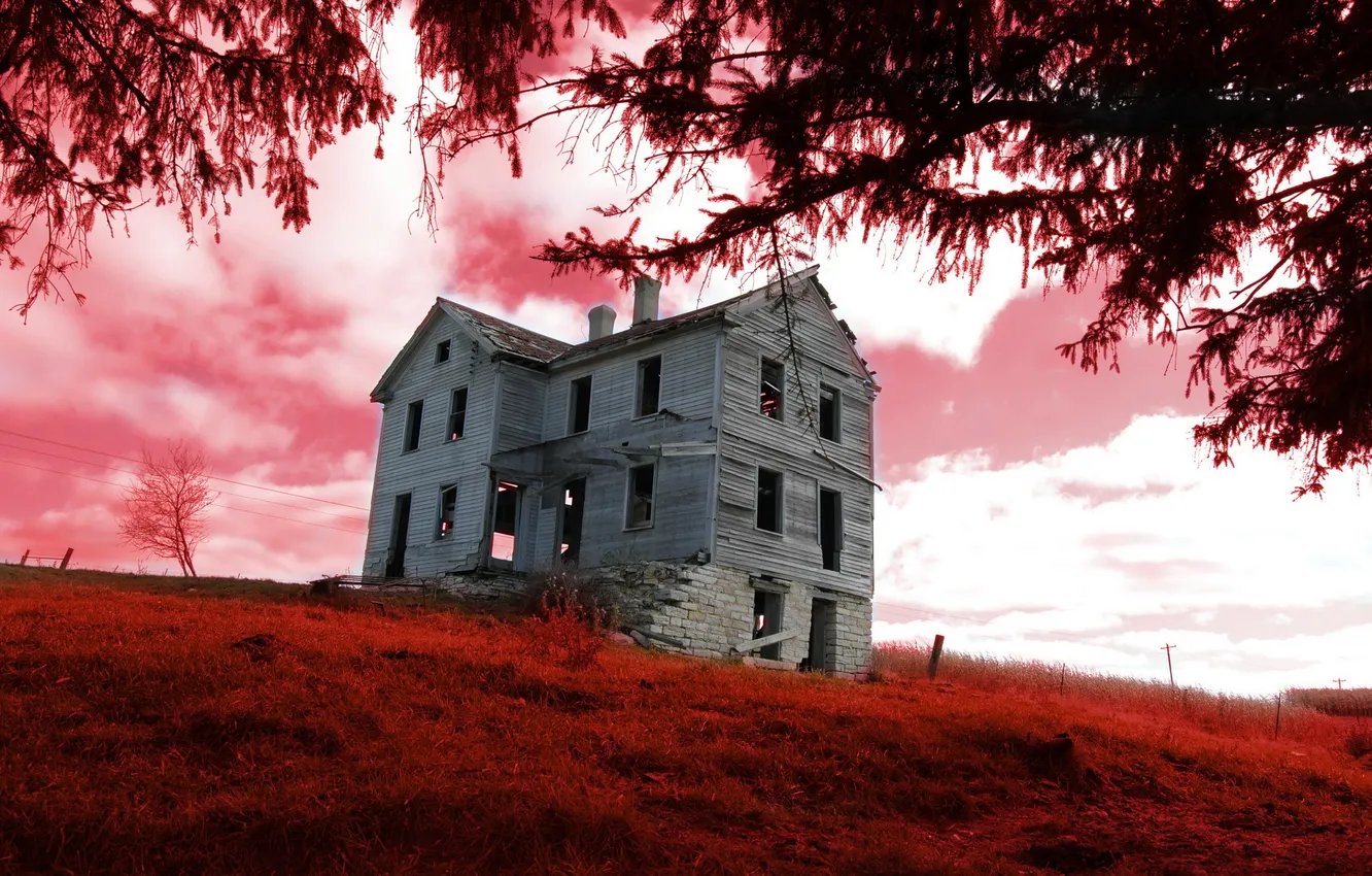 Photo wallpaper landscape, color, home