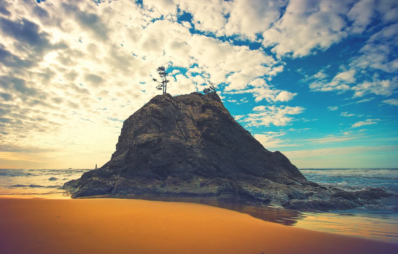 Photo wallpaper sea, landscape, rocks