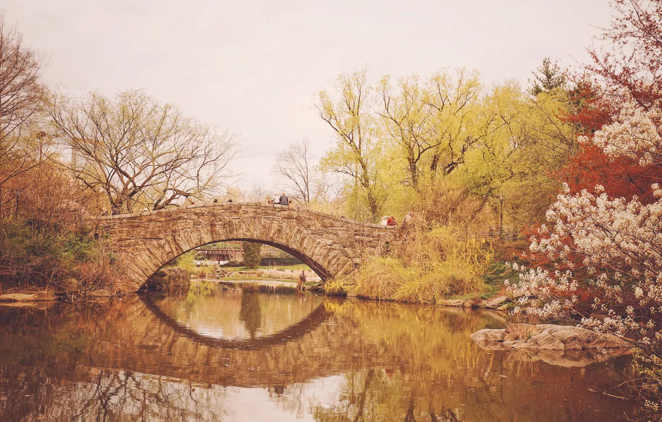 Photo wallpaper trees, bridge, lake, reflection, New York, mirror, cherry, Central Park