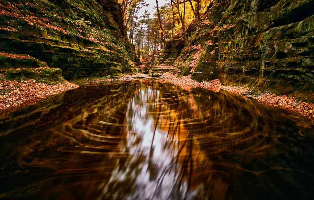 Photo wallpaper autumn, moss, canyon, Wisconsin, Baraboo, Dark Canyon