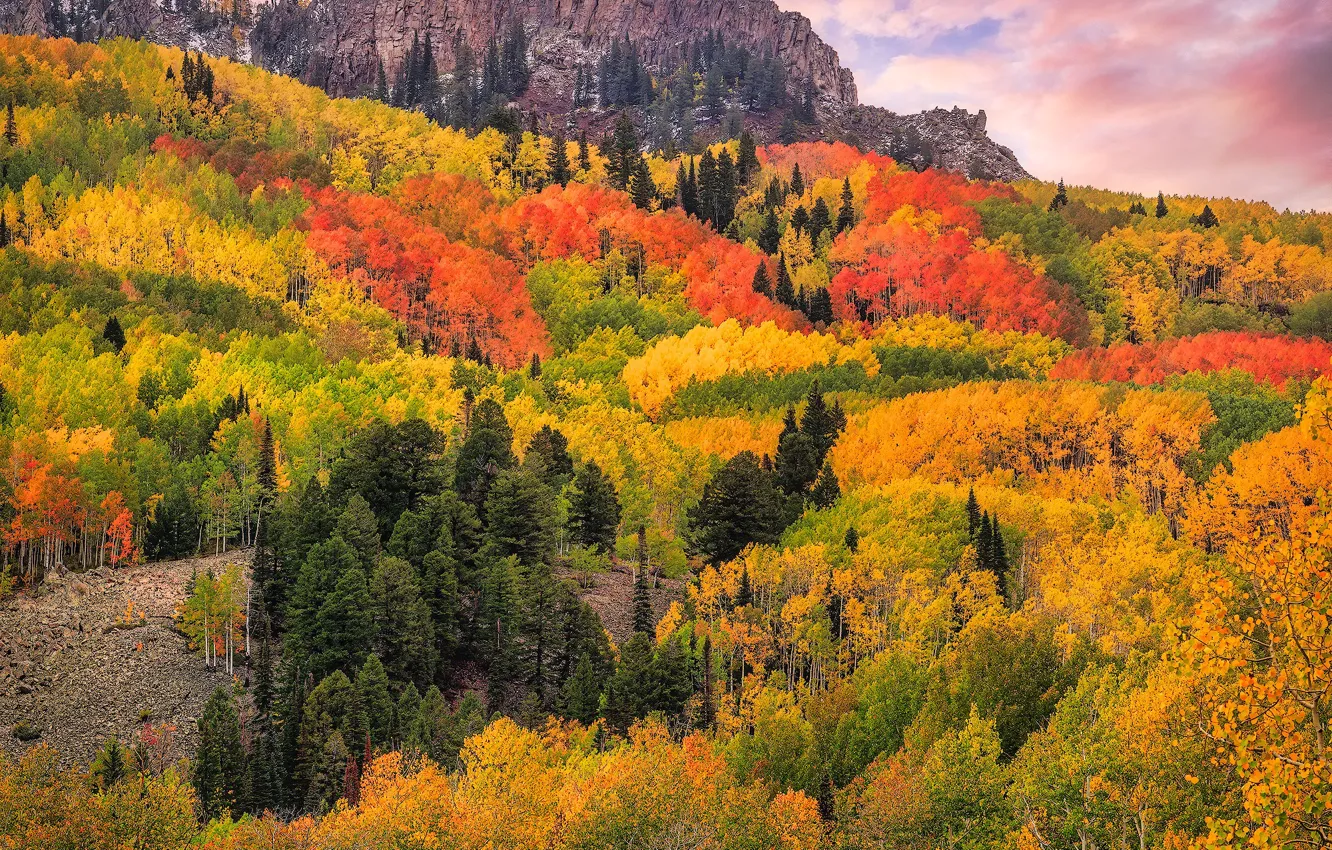 Photo wallpaper autumn, forest, clouds, trees, mountains, rocks, Colorado, San Juan Mountains