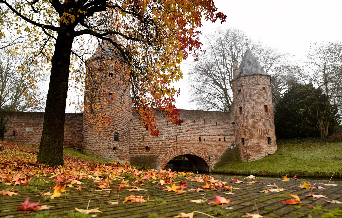 Photo wallpaper The city, Autumn, Leaves, Castle, Channel, Tower