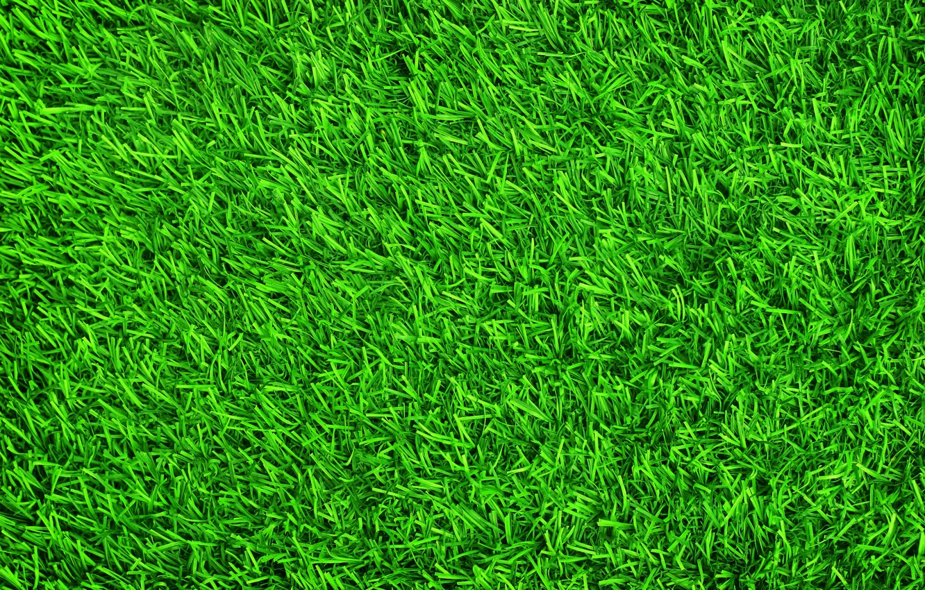 Photo wallpaper grass, background, lawn, green, summer, grass, green