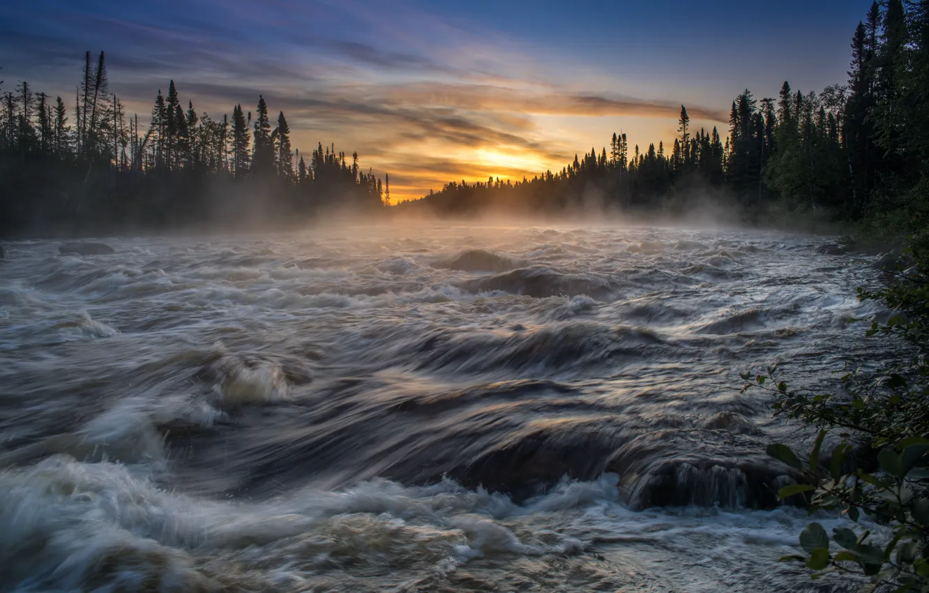 Photo wallpaper forest, water, sunset, fog, river, for, stream, pond