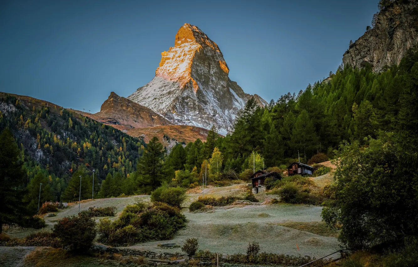 Photo wallpaper forest, mountain, Switzerland, Alps, top, houses, Switzerland, Alps