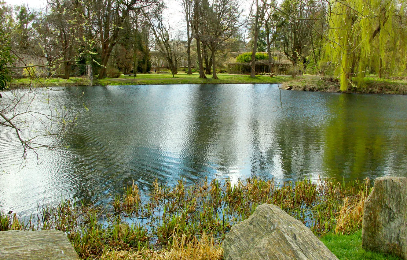 Photo wallpaper water, park, lake, pond