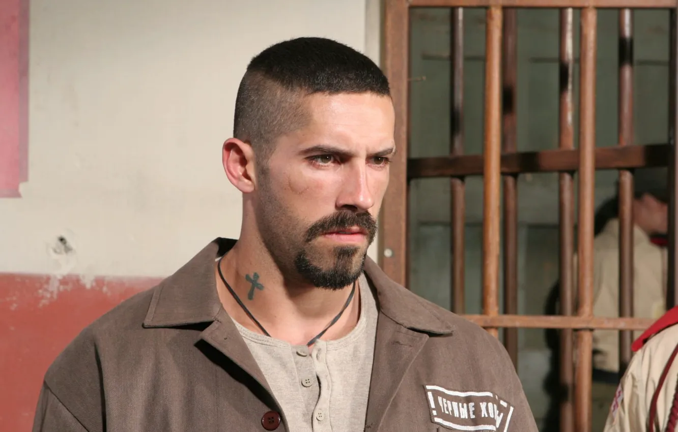Photo wallpaper Scott Edkins, Scott Adkins, Yuriy Boyko, Undeniable