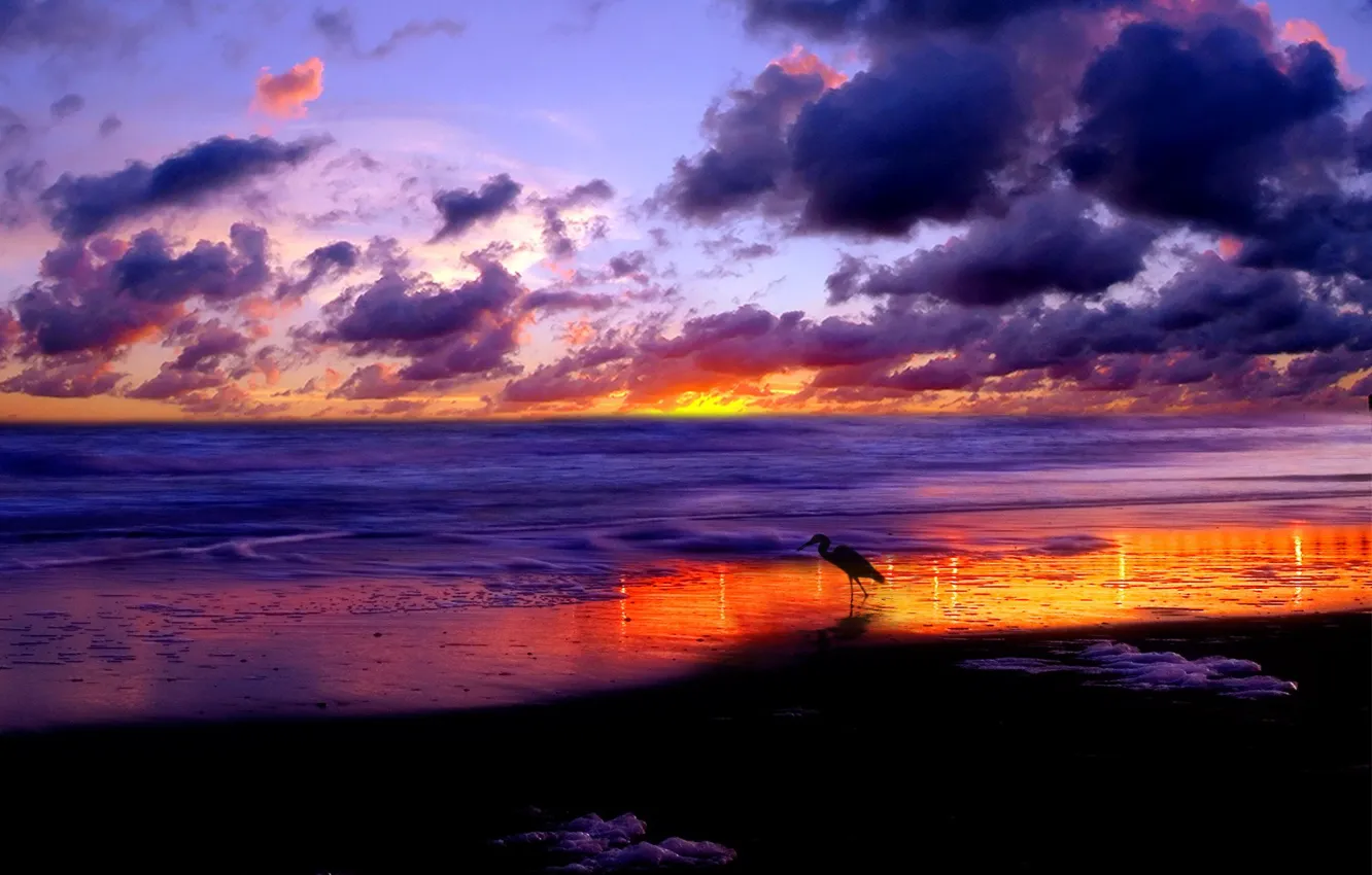 Photo wallpaper sea, clouds, Sunset, stork