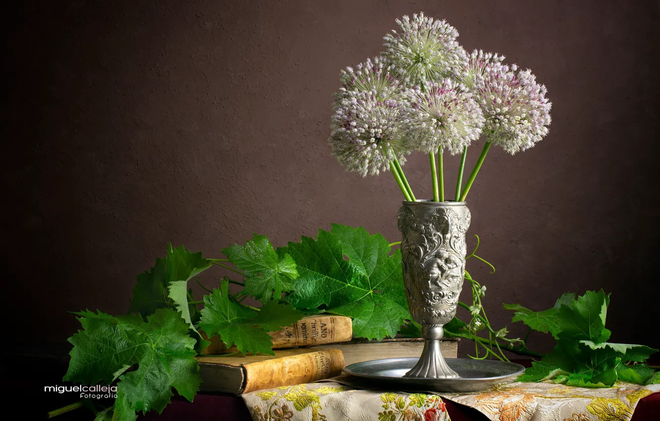 Photo wallpaper leaves, book, vase, Allium