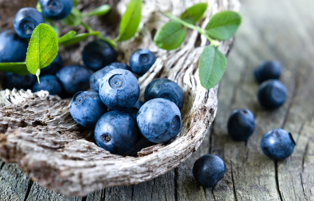 Photo wallpaper berries, blueberries, fresh, wood, blueberry, blueberries, berries