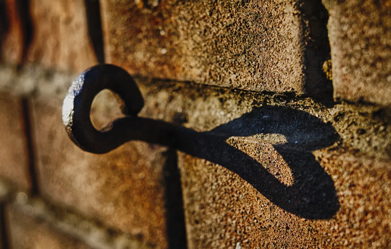 Photo wallpaper wall, heart, shadow