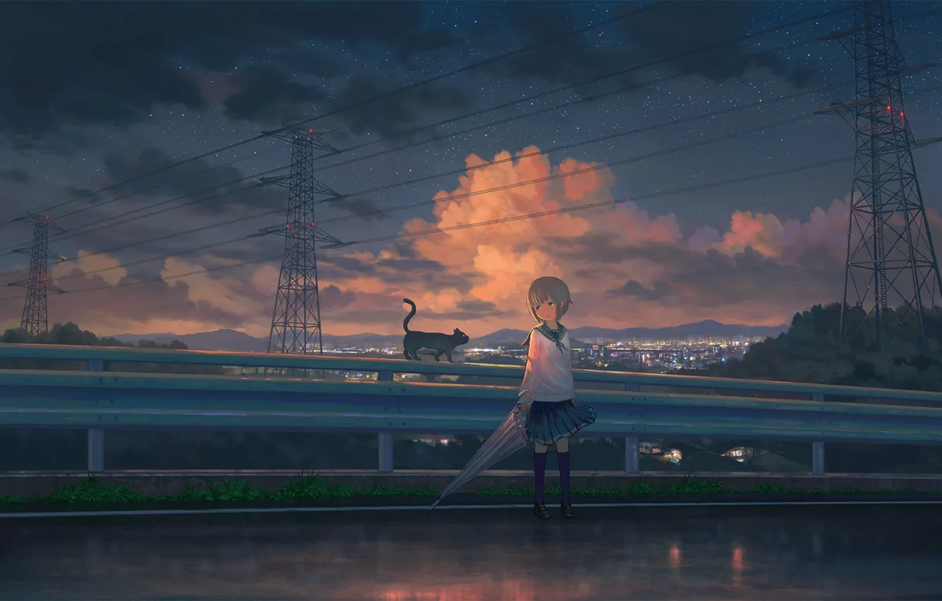 Photo wallpaper road, cat, cat, night, the city, umbrella, girl, black cat