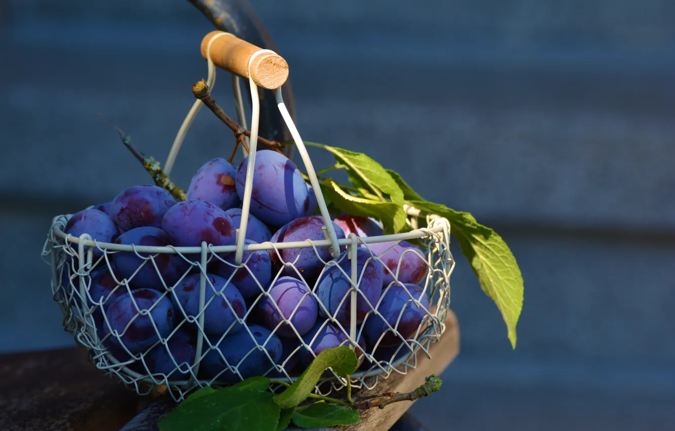 Photo wallpaper fruit, basket, drain