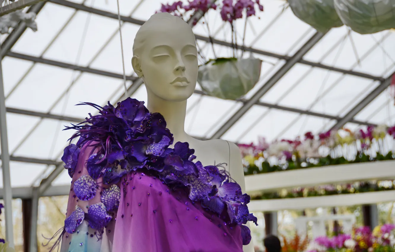 Photo wallpaper Holland, Keukenhof, Netherlands, Blumenhof