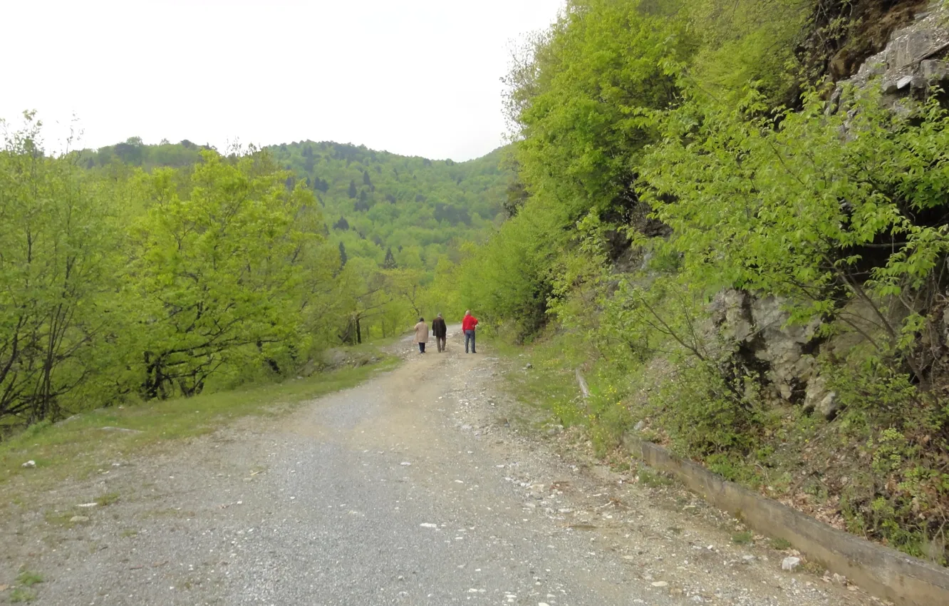 Photo wallpaper nature, spring, Pieria