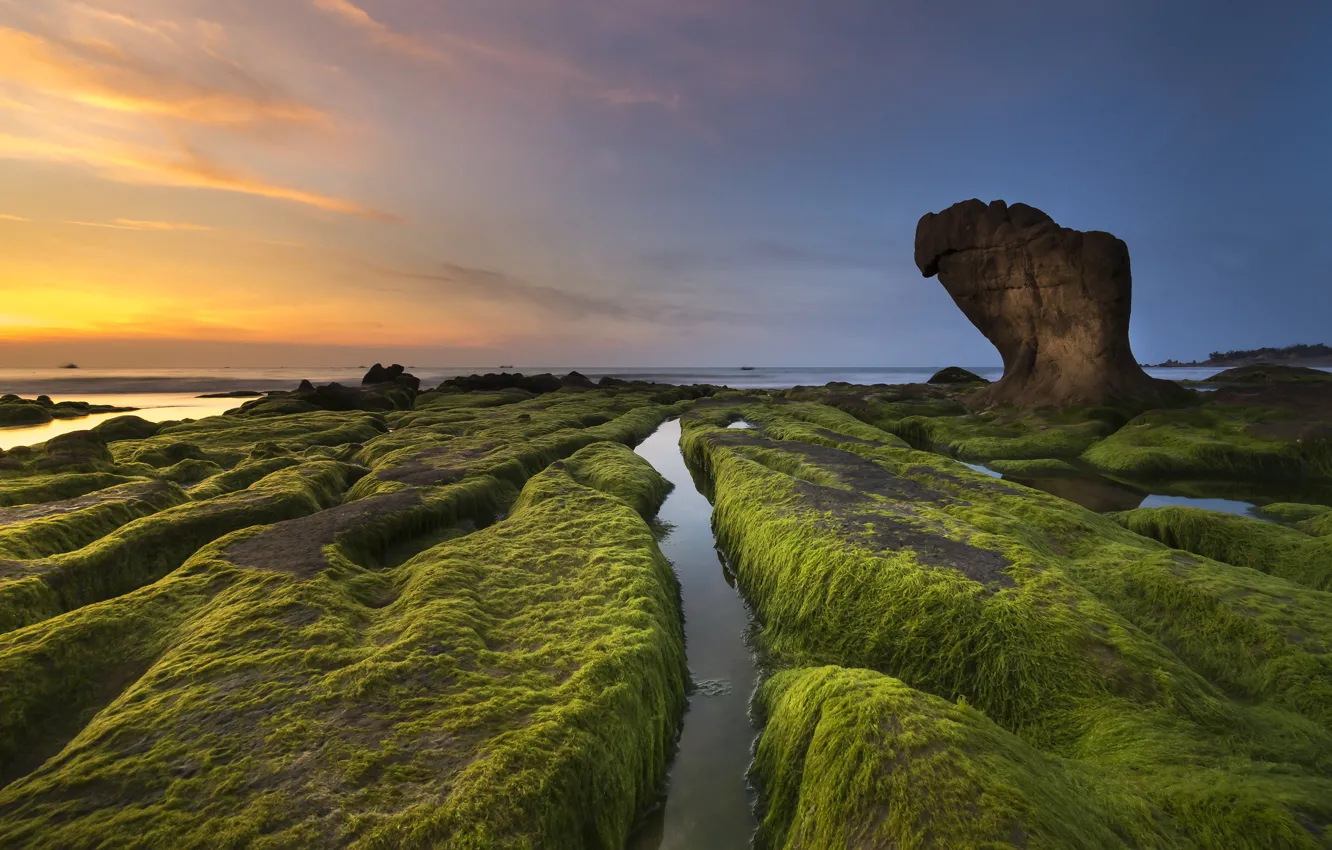 Photo wallpaper sea, the sky, clouds, algae, landscape, sunset, nature, rock