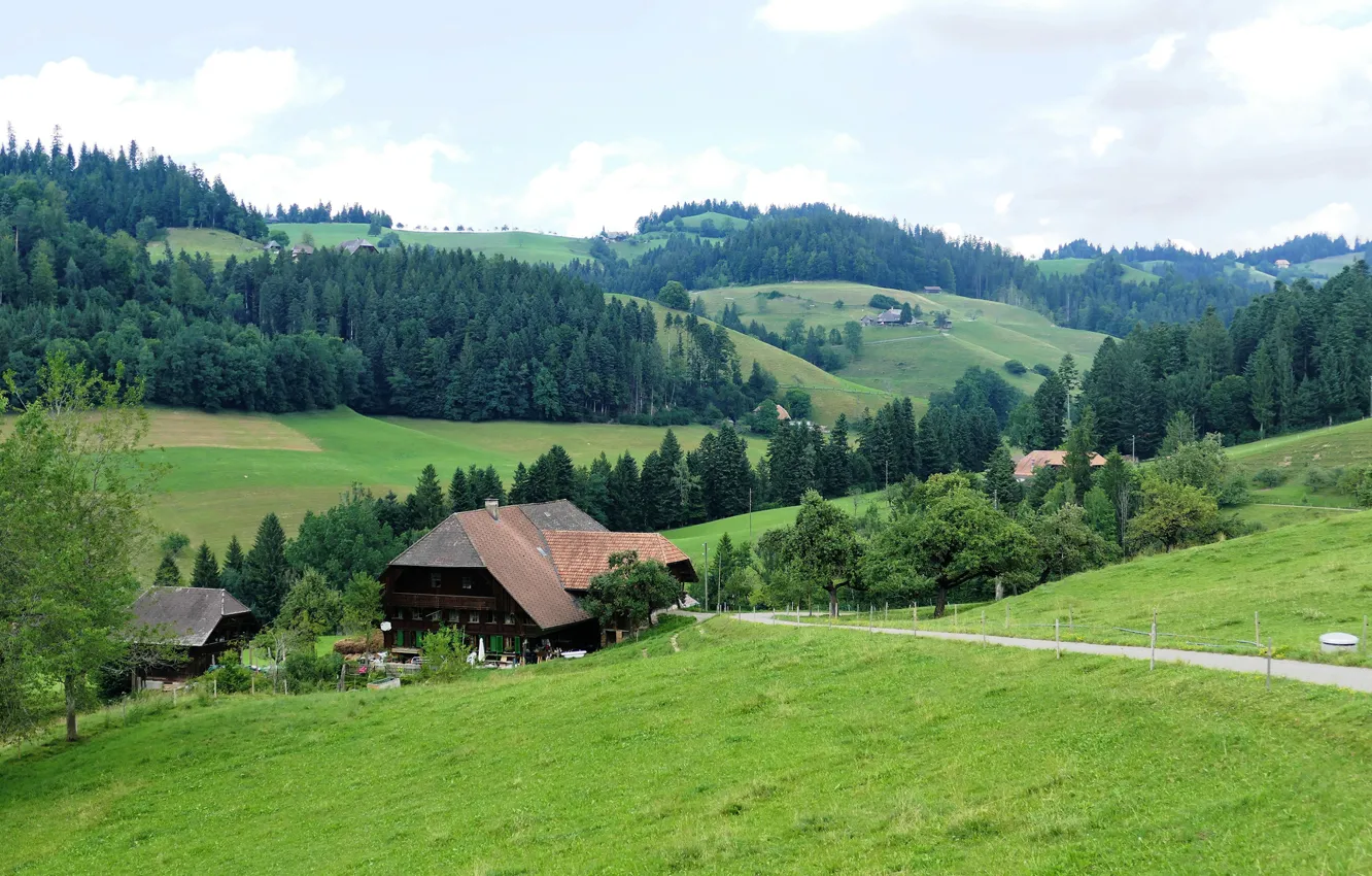 Photo wallpaper forest, summer, nature, home, Switzerland, meadow