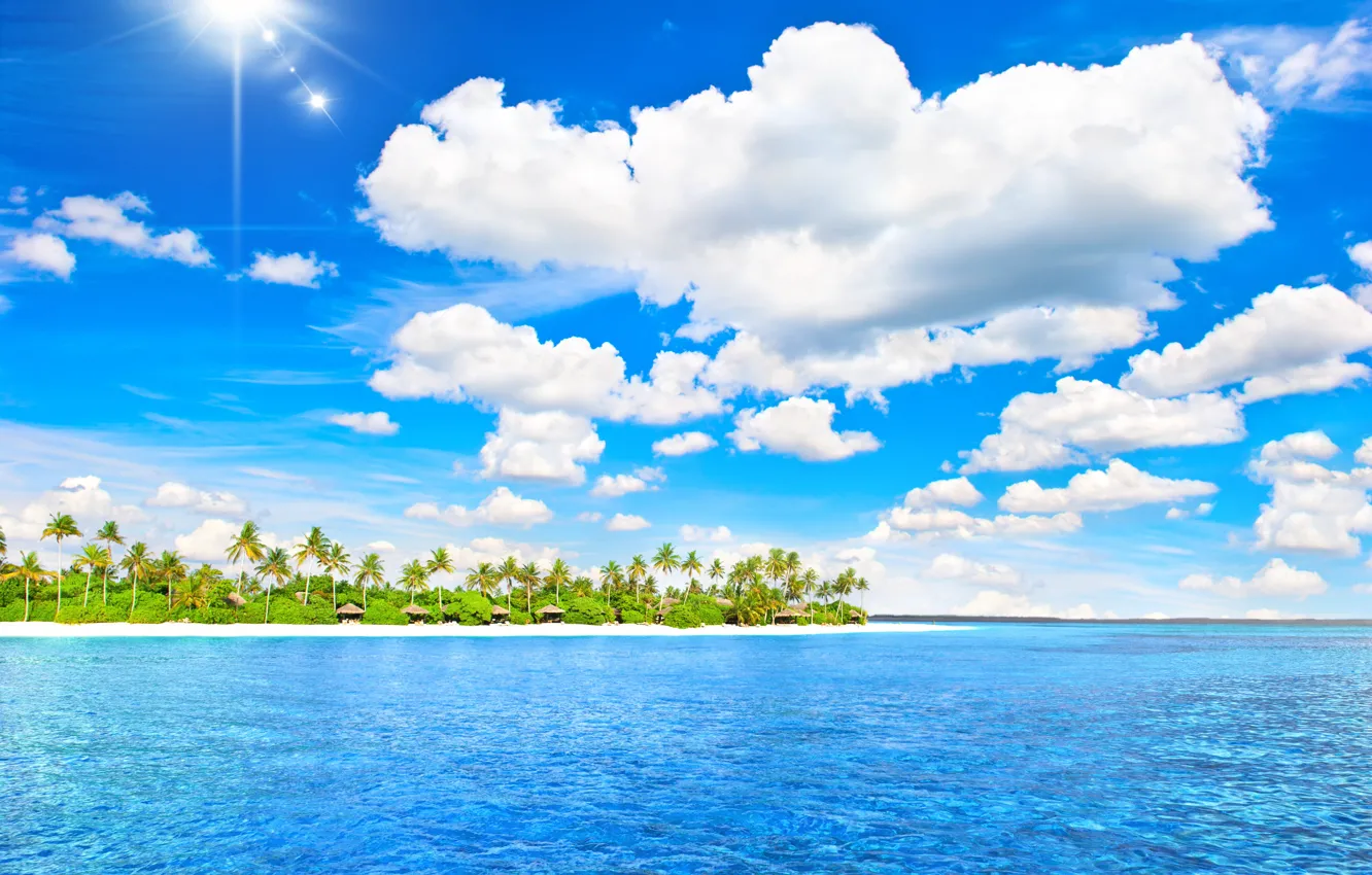 Photo wallpaper sea, beach, tropics, palm trees, summer, sunshine, sea, ocean