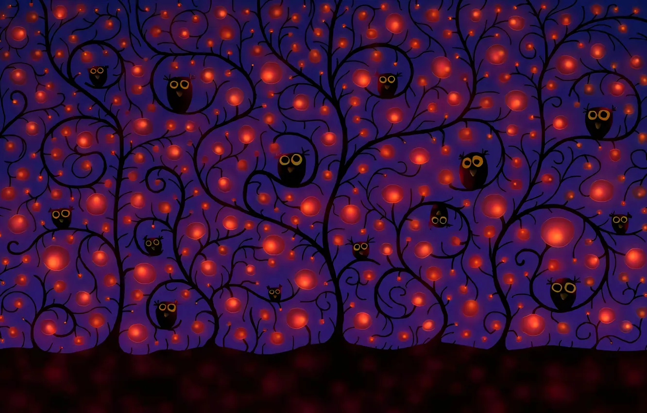 Photo wallpaper night, lights, owl, vladstudio