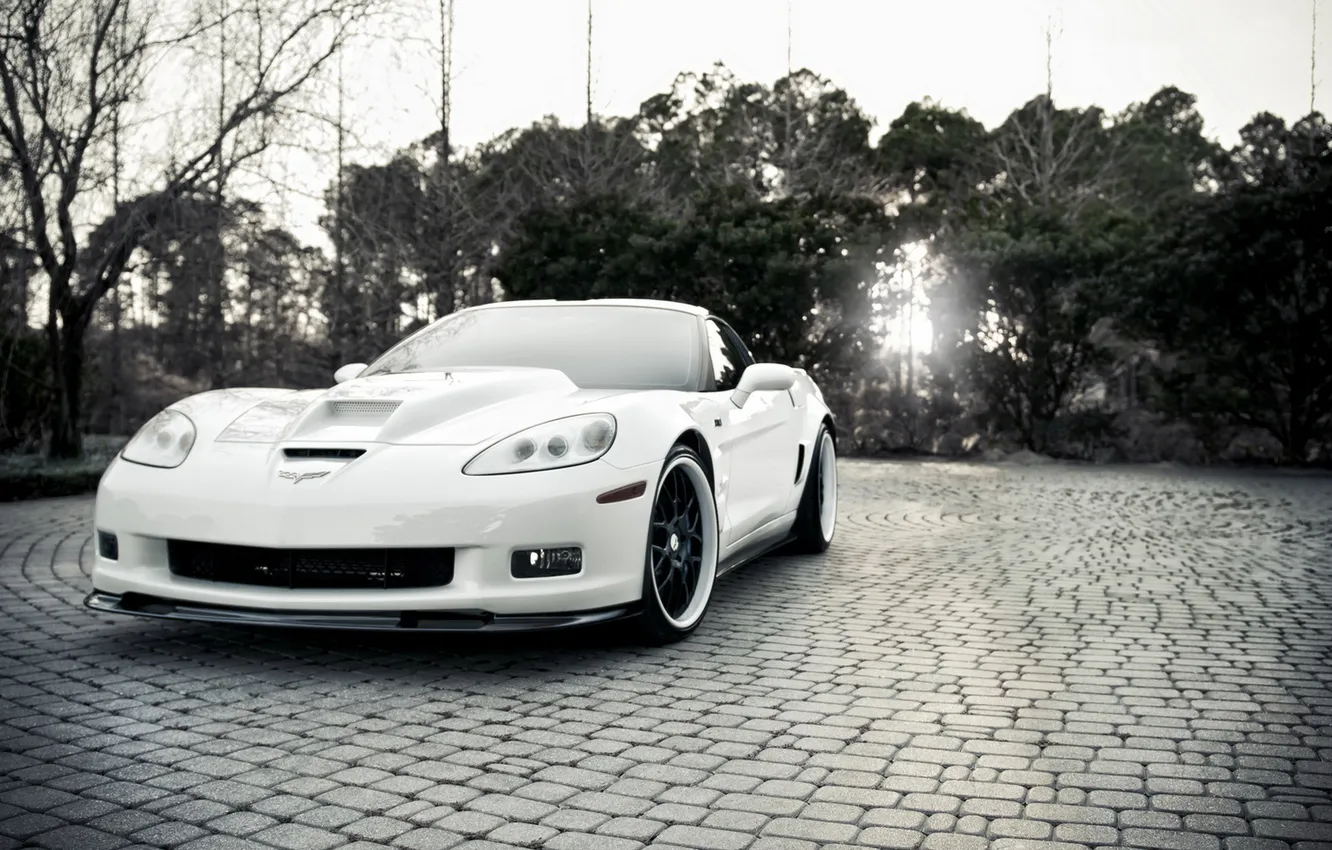 Photo wallpaper white, light, trees, Corvette, Chevrolet, black and white, ZR1