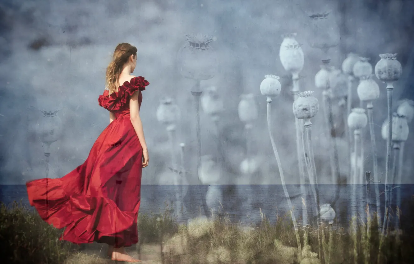 Photo wallpaper girl, background, Maki