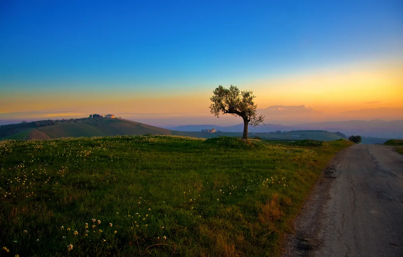 Photo wallpaper road, grass, trees, hills, morning