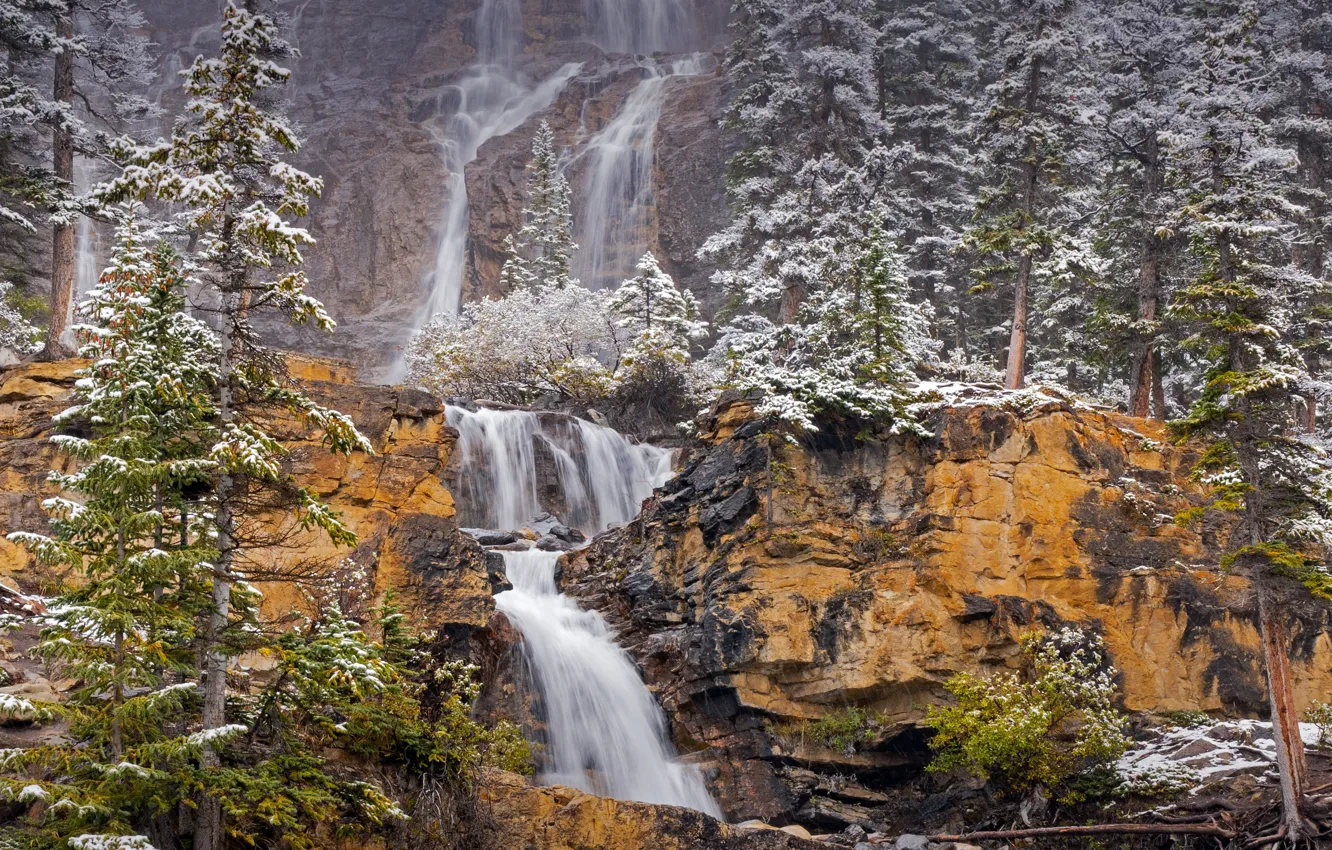 Photo wallpaper trees, rocks, waterfall, Canada, Canada, Jasper National Park, reserve, Jasper national Park