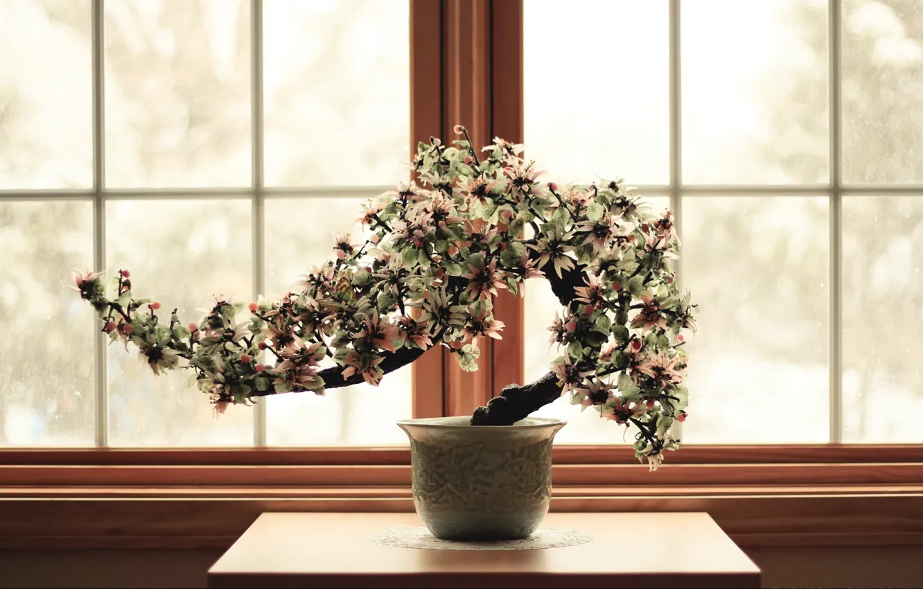 Photo wallpaper flowers, window, relax, dwarf tree