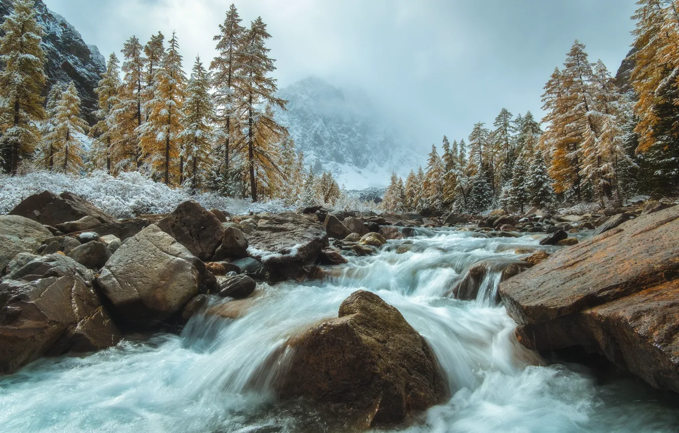 Photo wallpaper autumn, snow, trees, landscape, mountains, nature, fog, river