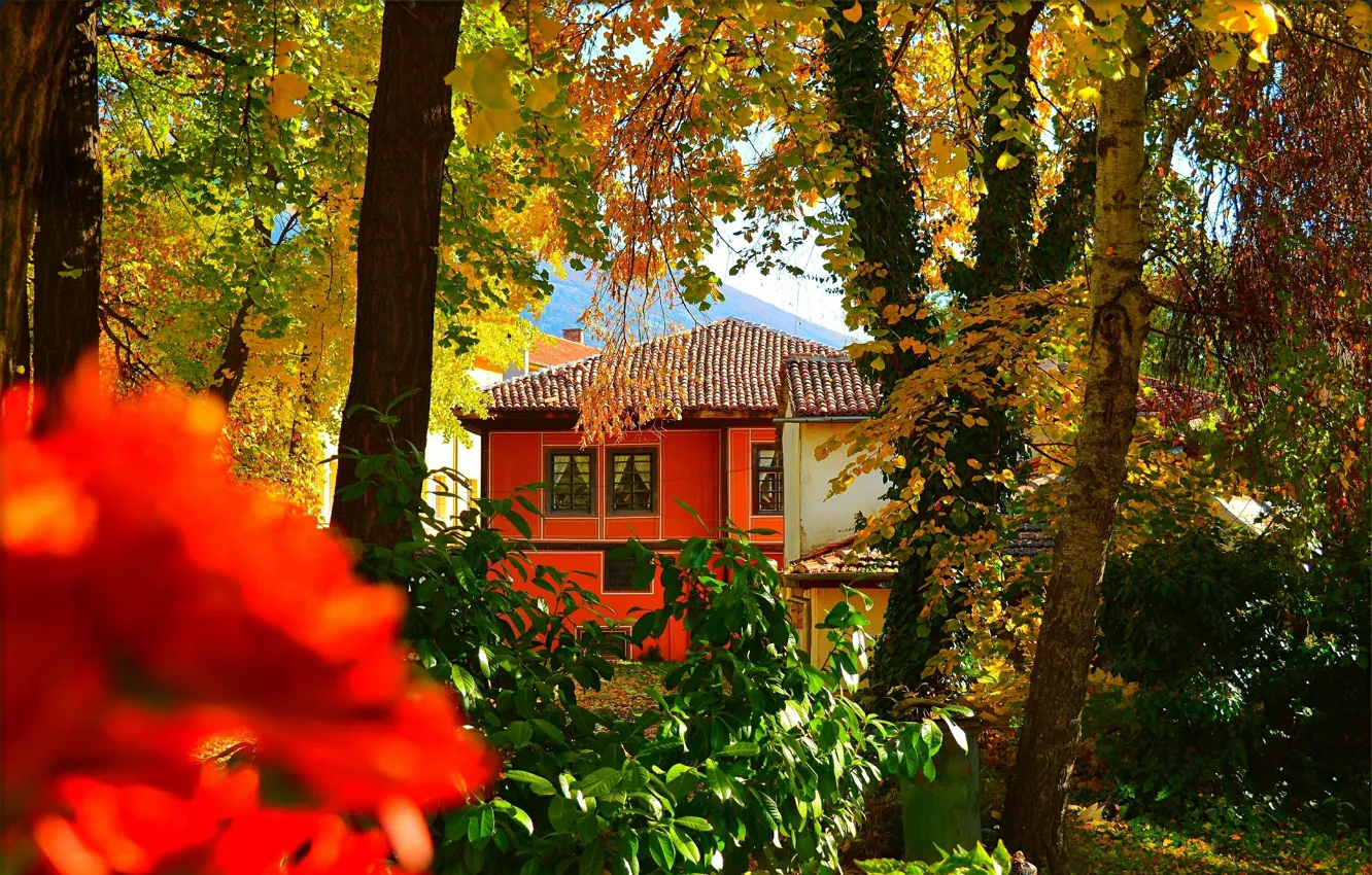 Photo wallpaper autumn, home, house, autumn, fall