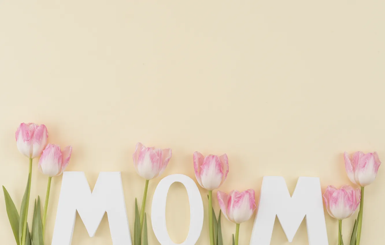 Photo wallpaper flowers, holiday, tulips, composition, Mother's day