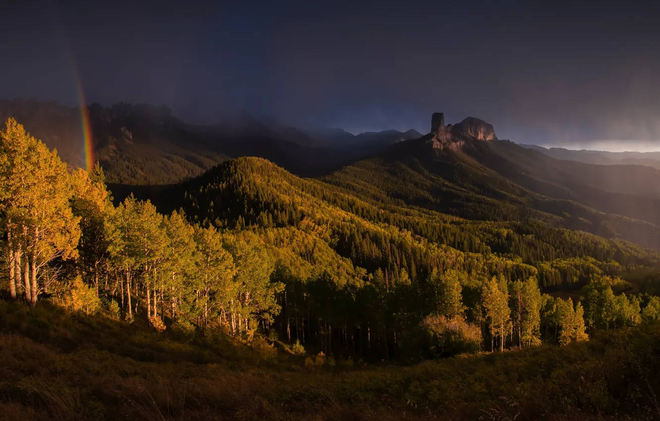 Photo wallpaper forest, the sky, light, mountains, clouds, rainbow, slope, lighting