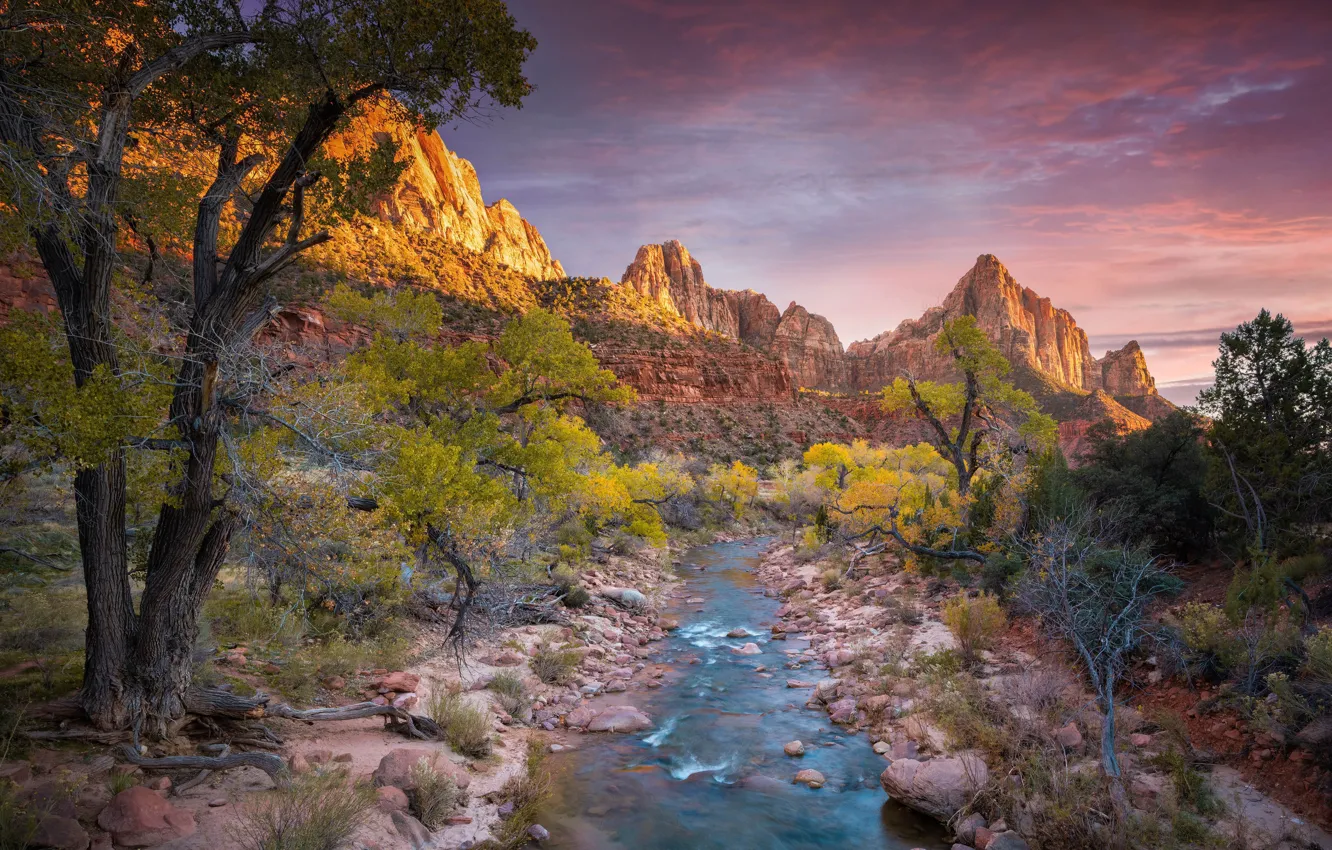 Photo wallpaper clouds, trees, mountains, river, USA, Zion National Park, Utah, the beauty of nature