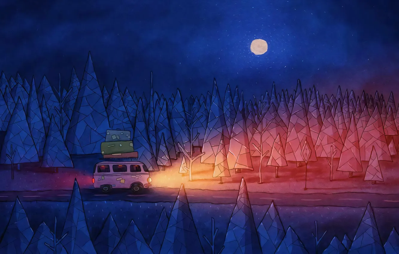 Photo wallpaper forest, night, vladstudio