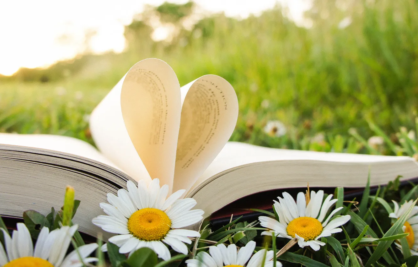 Photo wallpaper summer, grass, heart, chamomile, book, page