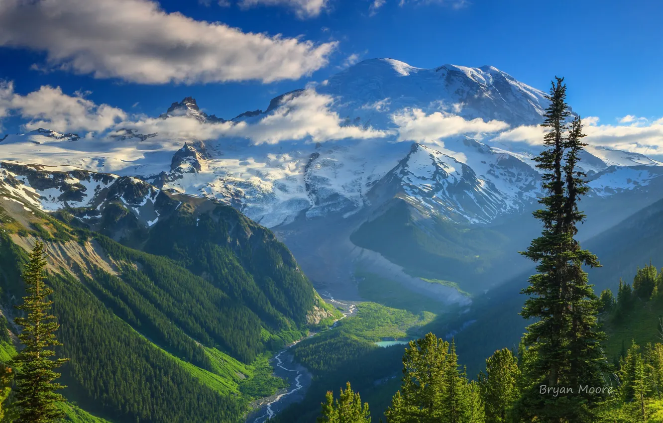Photo wallpaper forest, the sky, mountains, valley
