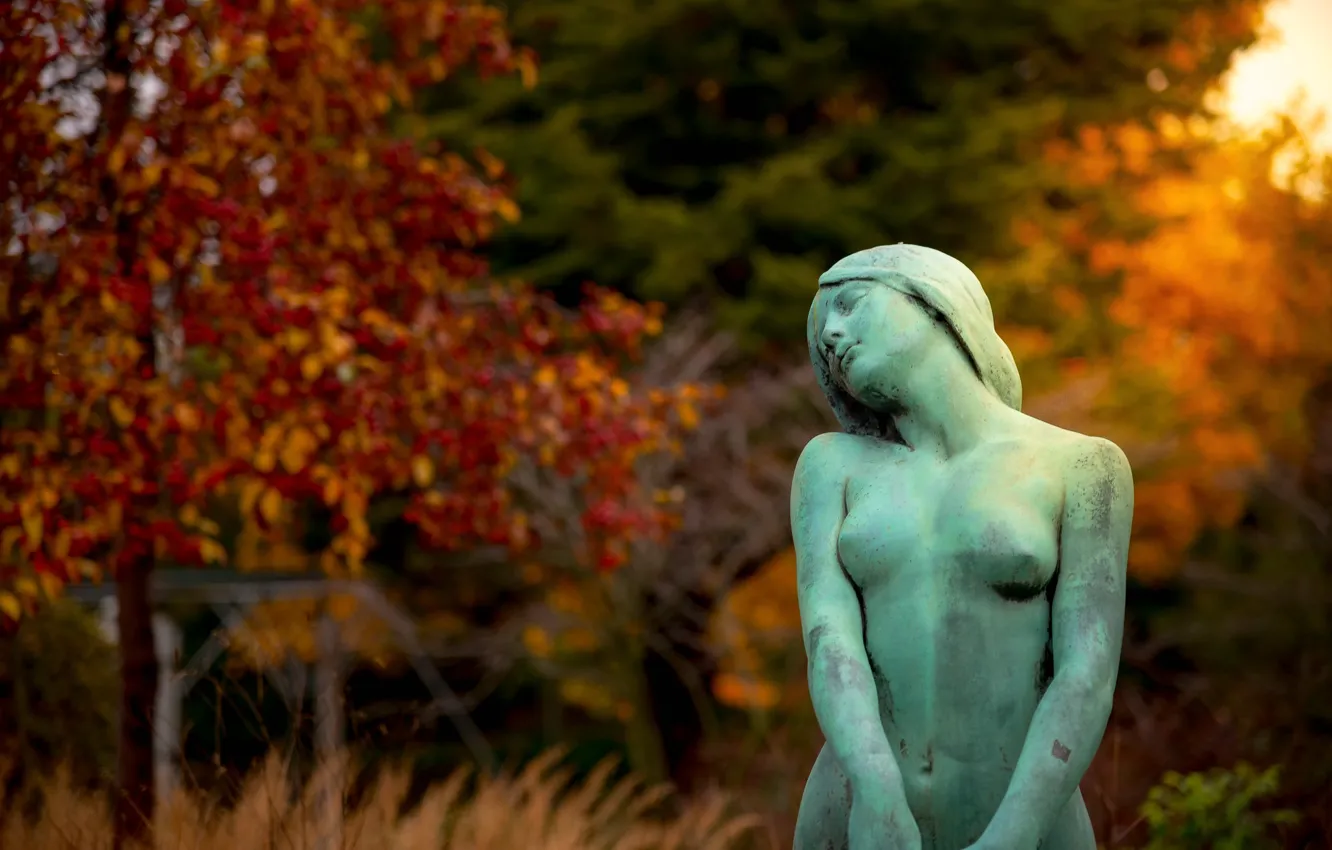 Photo wallpaper autumn, forest, girl, trees, statue