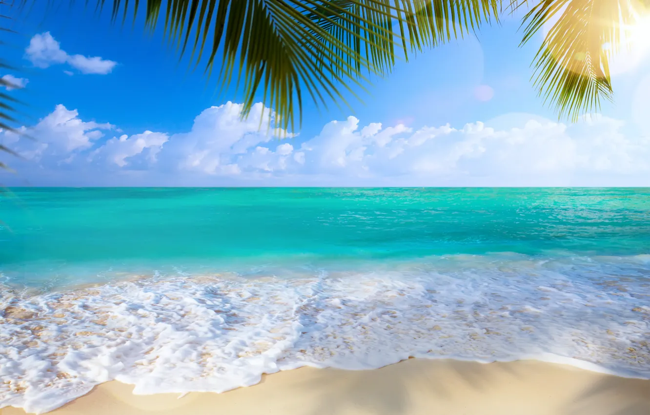 Photo wallpaper sand, sea, beach, palm trees, shore, summer, beach, sea