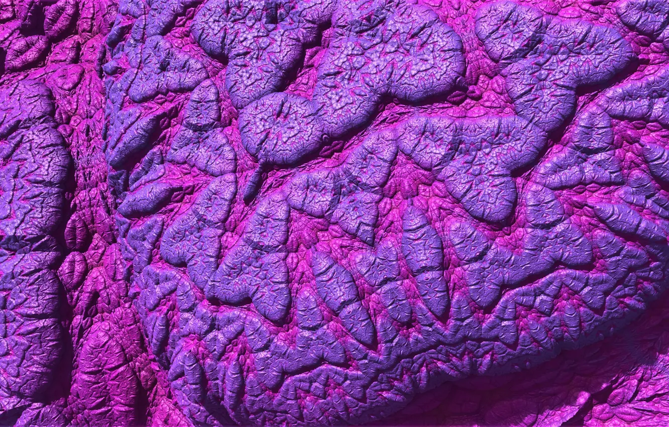 Photo wallpaper surface, bright, texture