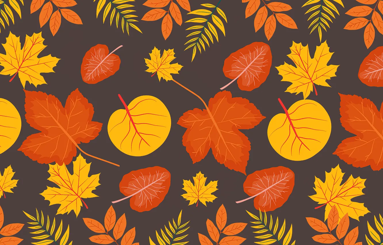 Photo wallpaper autumn, leaves, background, pattern, foliage, texture, brown, ornament
