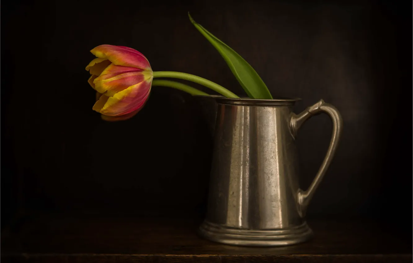 Photo wallpaper red, mug, tulips